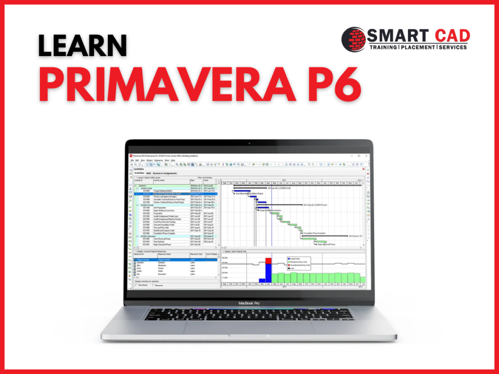 Primavera course training