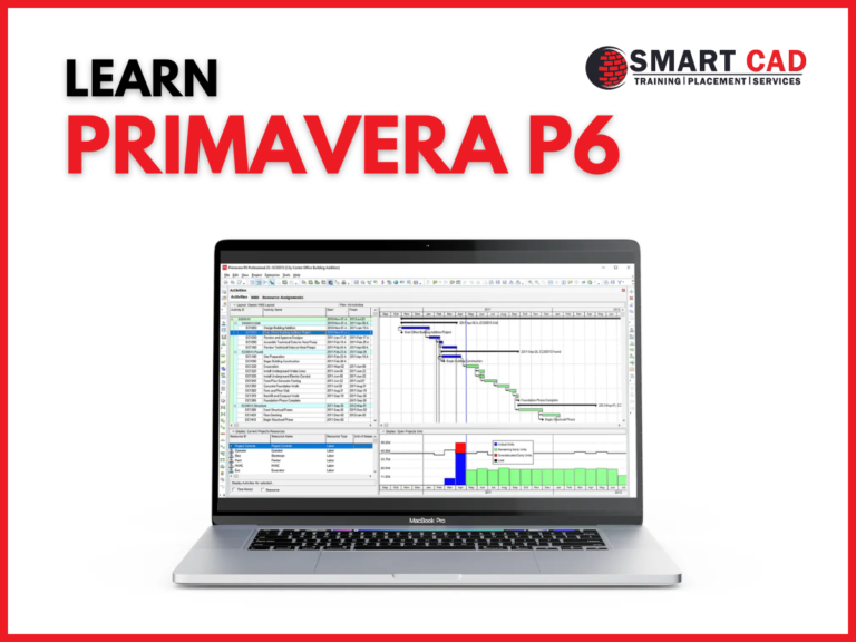 Primavera course training